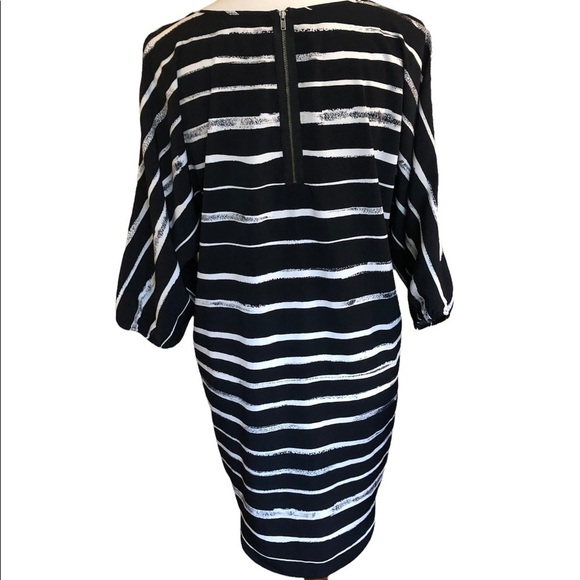 Express Sheath or Shift Dress - Picture 12 of 12